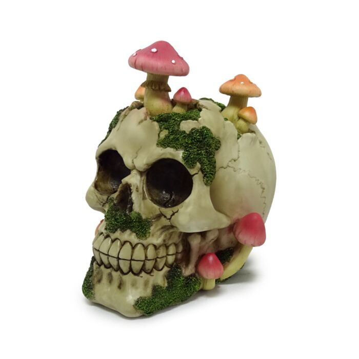 Figura Calavera con Setas y Musgo