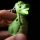 KEY59_004.jpg