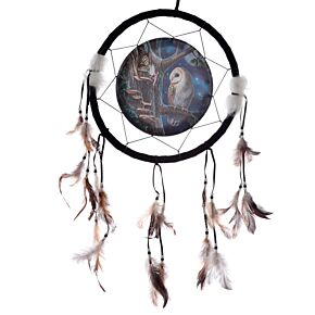 Atrapasueños Búho y Hada de Cuento de Hadas Lisa Parker 33cm