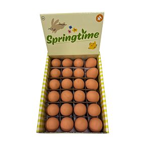 Huevo que Bota de Juguete Pascua Springtime