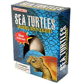 Kit de Excavación Tortuga Marina Fluorescente