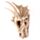Calavera Dragón Decorativo Grande