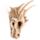 Calavera Dragón Decorativo Grande