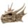 Calavera Dragón Decorativo