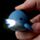 Llavero con Luz y Sonido Pulpo, Pingüino y Delfín