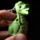 Llavero con Luz y Sonido Dinosaurio