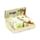 Monedero de PVC Ranas Tropicales