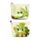 Monedero de PVC Ranas Tropicales