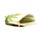 Monedero de PVC Ranas Tropicales