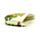 Monedero de PVC Ranas Tropicales
