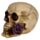 Figura Calavera Calavera y Rosas Moradas