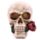 Figura Calavera Calavera y Rosas