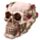 Figura Calavera Calavera y Rosas