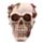 Figura Calavera Calavera y Rosas
