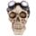 Figura Calavera Calavera Decorativa con Engranajes y Anteojos
