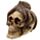 Figura Calavera Calavera Decorativa con Pulpo de Bronce