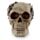 Figura Calavera Calavera Decorativa Estilo Steampunk Engranajes