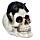 Figura Calavera Calavera Decorativa con Gato Negro