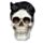 Figura Calavera Calavera Decorativa con Gato Negro
