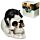 Figura Calavera Calavera Decorativa con Gato Negro