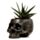 Macetero para Plantas Calavera