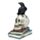 Figura Calavera Cuervos sobre Calaveras y Libros