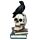 Figura Calavera Cuervos sobre Calaveras y Libros