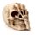 Figura Calavera Horripilante Mano Garra de Esqueleto