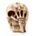 Figura Calavera Horripilante Mano Garra de Esqueleto