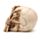 Figura Calavera Horripilante Mano Garra de Esqueleto