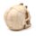 Figura Calavera Horripilante Mano Garra de Esqueleto