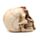 Figura Calavera Horripilante Mano Garra de Esqueleto