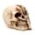 Figura Calavera Horripilante Mano Garra de Esqueleto