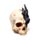 Figura Calavera Sombras de Tinieblas Cráneo de Dragón Negro Pequeño