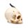 Figura Calavera Sombras de Tinieblas Cráneo de Dragón Negro Pequeño