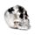 Figura Calavera Gris con Arañas y Telarañas
