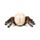 Figura Calavera con patas de Araña 