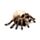 Figura Calavera con patas de Araña 