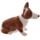 Set de Salero y Pimentero Reina de Inglaterra y Perro Corgi