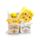 Juguete Estrujable Conejito y Pollito Squish Blox Primavera Springtime 