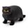 Juguete Estrujable Elástico Gato