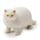 Juguete Estrujable Elástico Gato
