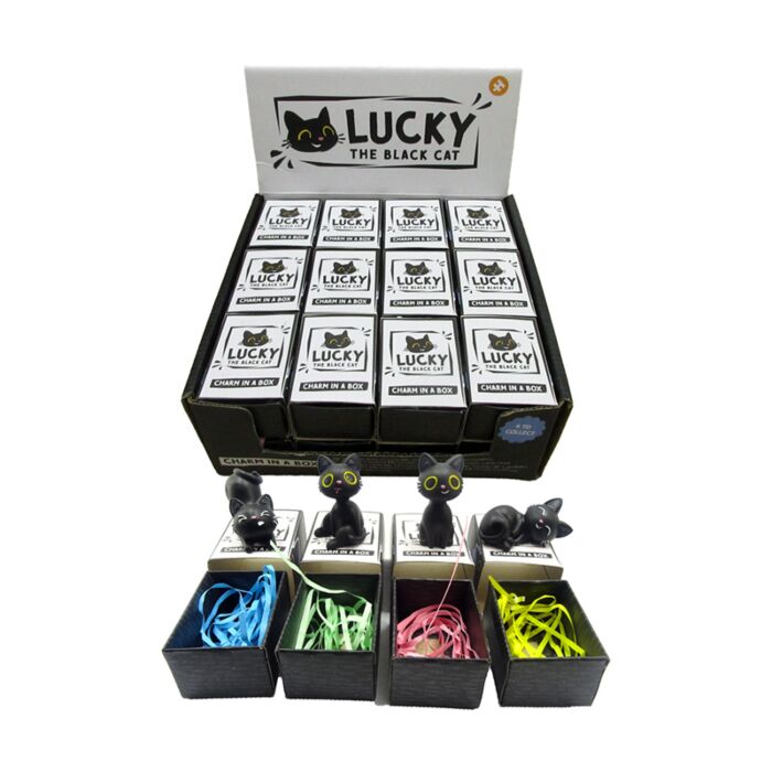 Amuleto en Caja Lucky the Black Cat
