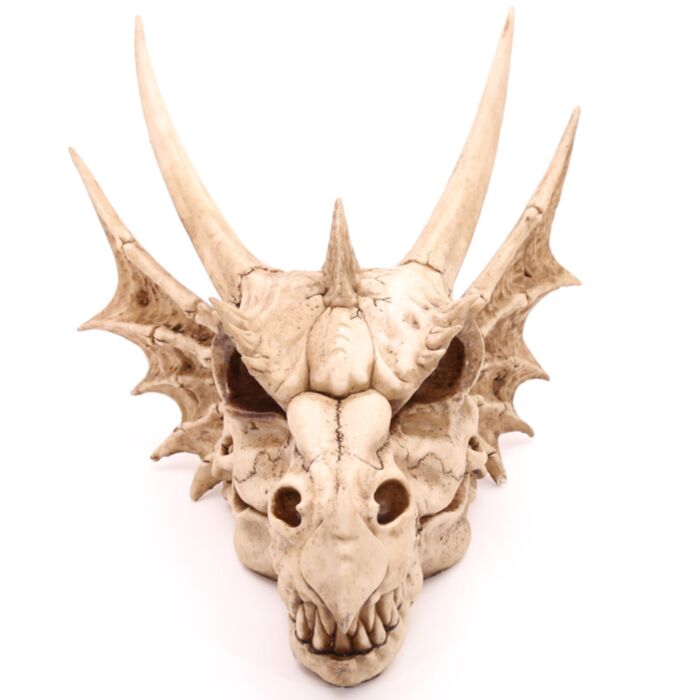 Calavera Dragón Decorativo Grande