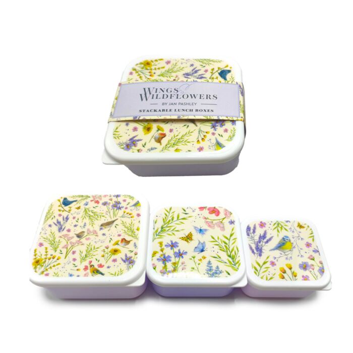 Set de 3 Fiambreras Táper  S/M/L  Jan Pashley Wings & Wildflowers