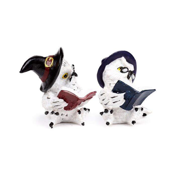 Figura Sabio Búho Mágico Leyendo Libros de Hechizos