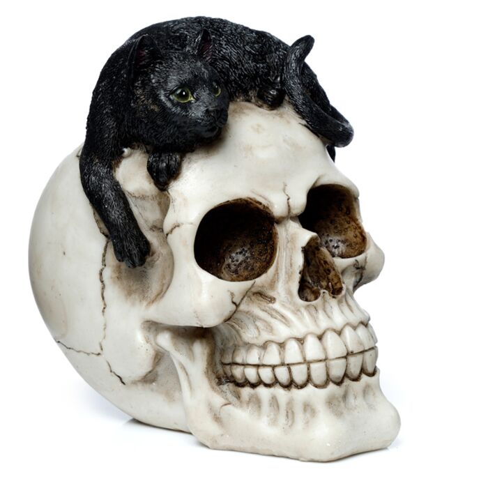 Figura Calavera Calavera Decorativa con Gato Negro