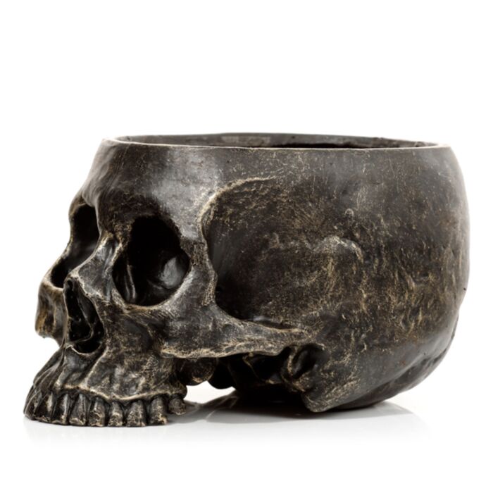 Macetero para Plantas Calavera
