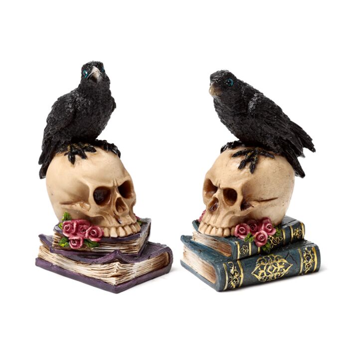 Figura de Cuervo Sobre Calavera y Libros