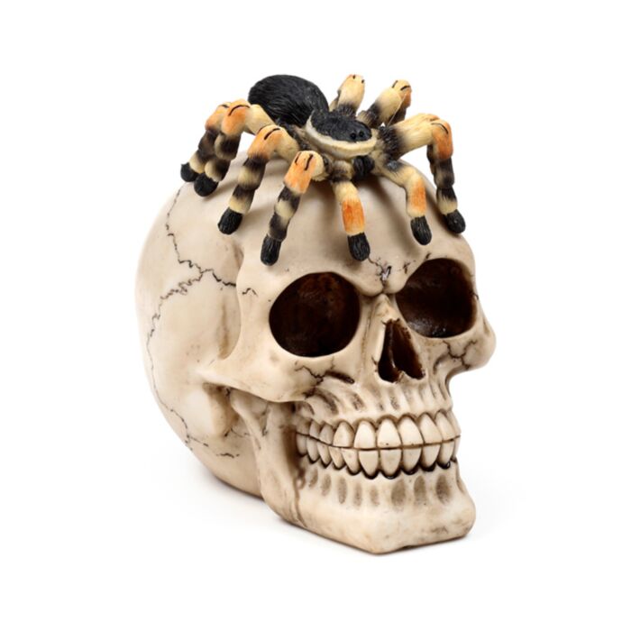 Figura Calavera con Araña 